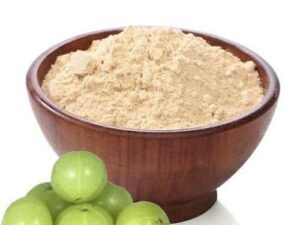 Amla Extract Powder