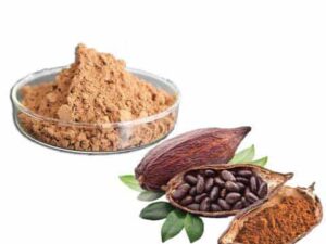 Cocoa Seed Extract Powder 10%