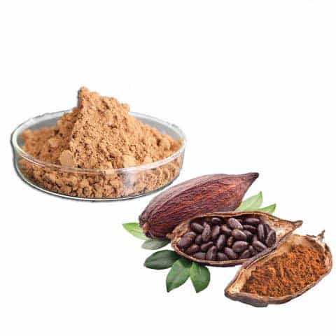 Cocoa Seed Extract Powder 10%