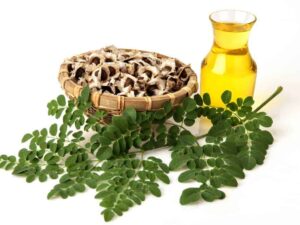 Moringa Carrier Oil