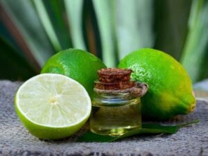 Lime Essential Oil