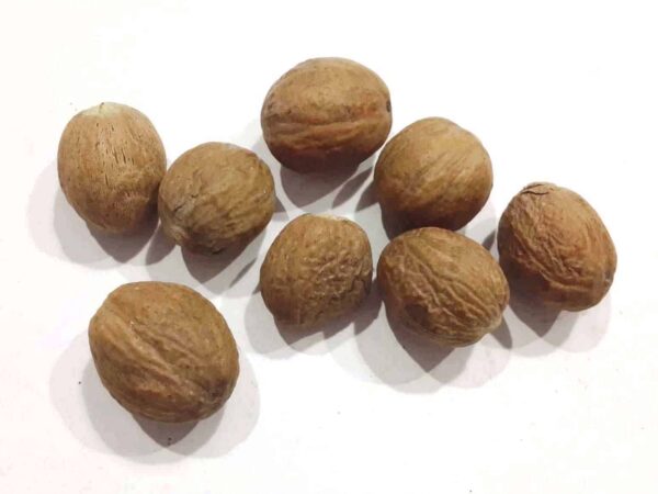 Nutmeg Essential Oil