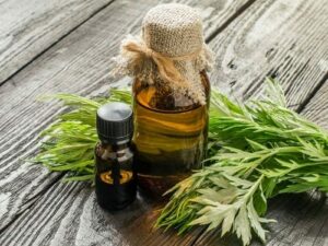 Wormwood Essential Oil