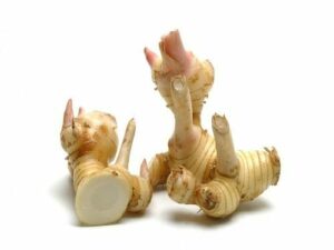 Galangal Essential Oil