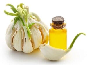 Garlic Essential Oil