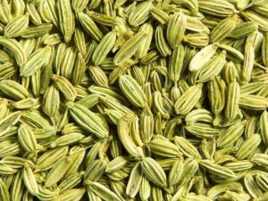 Fennel Seed Oleoresins