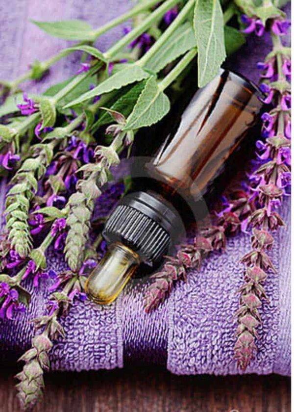 Sage Essential Oil