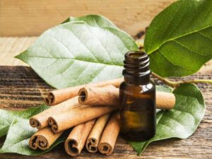 Cinnamon Leaf Essential Oil