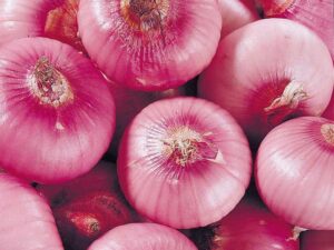 Onion Oleoresin