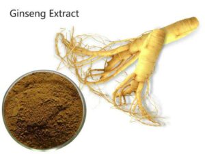 Ginseng Extract Powder