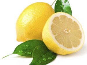 Lemon Hydrosol