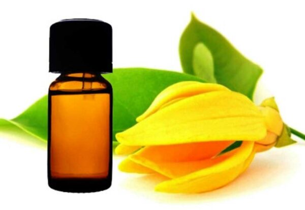 Ylang Ylang Essential Oil