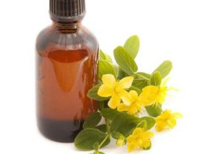 St. John's Wort Essential Oil