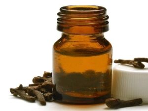 Clove Bud Essential Oil