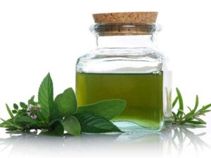 Spearmint Essential Oil