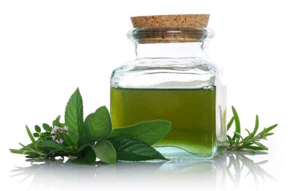 Spearmint Essential Oil