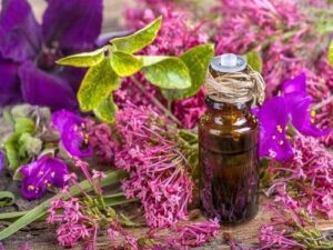 Clary Sage Essential Oil