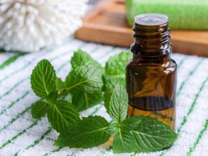 Peppermint Essential Oil