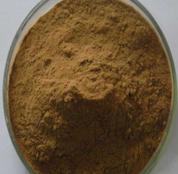 Tribulus Terrestris Extract Powder 40% Saponins