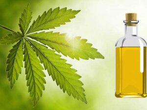 Neem Carrier Oil