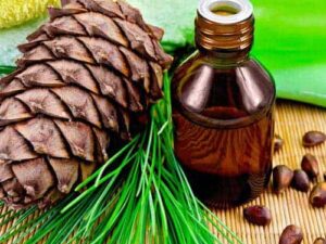 Cedarwood Essential Oil