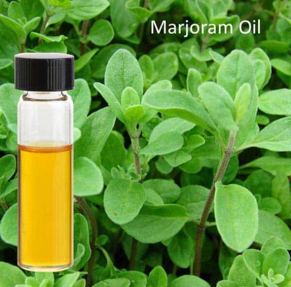 Marjoram Essential Oil