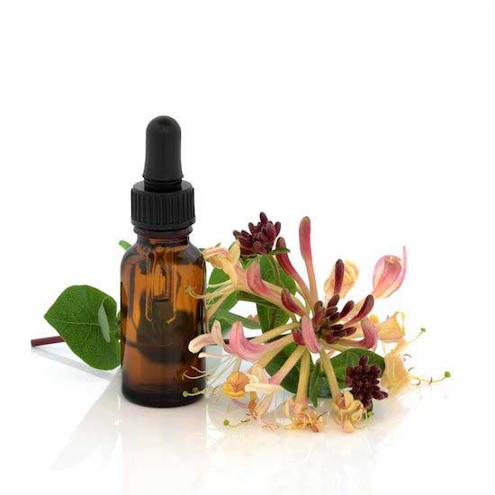 Honeysuckle Floral Absolute Oil