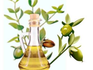 Jojoba Carrier Oil