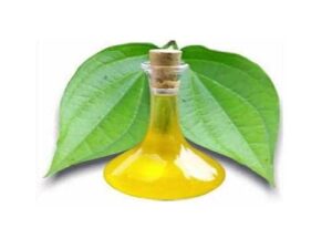 Betel Leaf Essential Oil