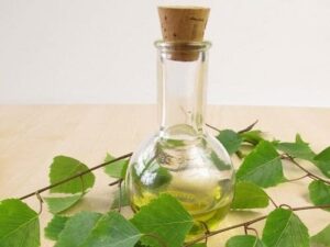 Birch Essential Oil