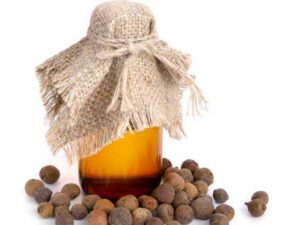 Allspice Essential Oil