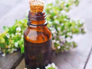 Thyme Essential Oil