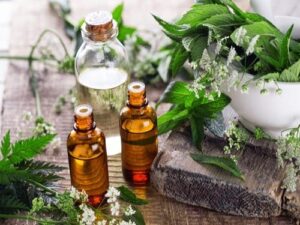 Cypriol Essential Oil