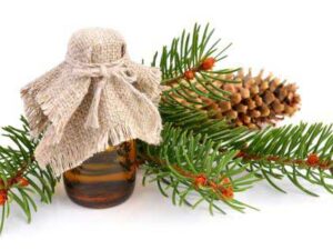 Fir Needle Essential Oil