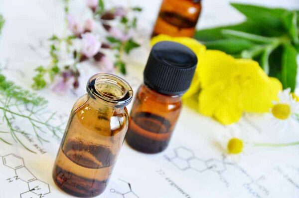 Evening Primrose Carrier Oil