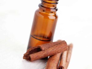 Cinnamon Bark Essential Oil