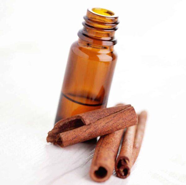 Cinnamon Bark Essential Oil