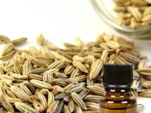 Fennel Sweet Essential Oil