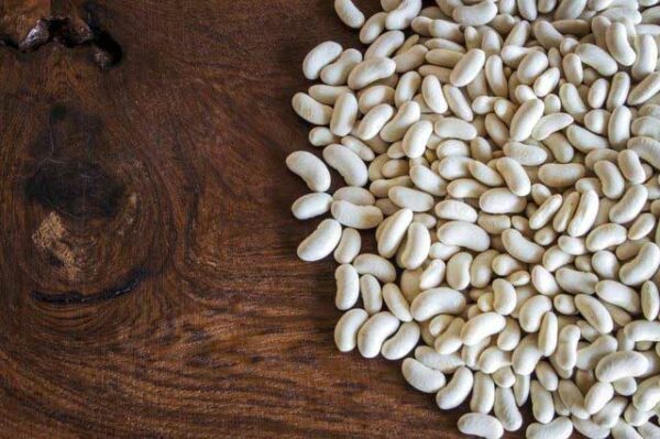 White Kidney Beans Extract Powder