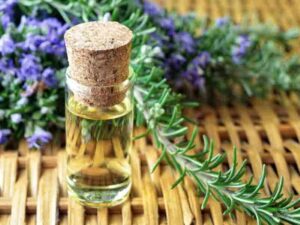 Rosemary Essential Oil