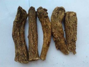 Costus Root Essential Oil