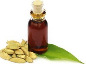 Cardamom Essential Oil