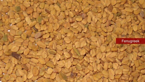 Fenugreek Oleoresins