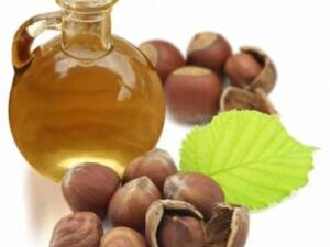 Hazelnut Carrier Oil