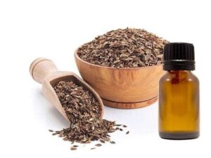 Dill Seed Essential Oil