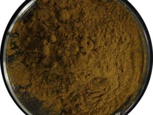 Rosemary Extract Powder