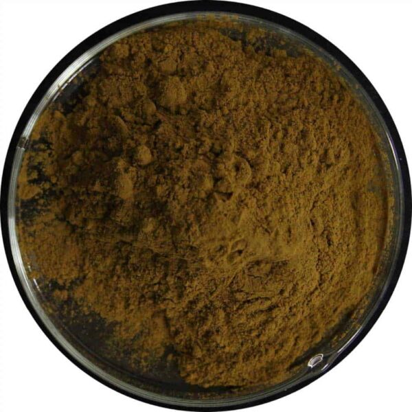 Rosemary Extract Powder