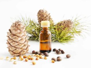 Pine Essential Oil