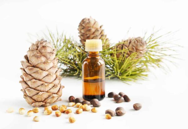 Pine Essential Oil