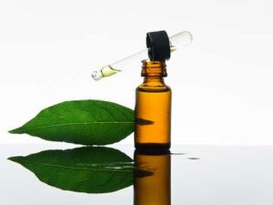 Bay Leaf Essential Oil